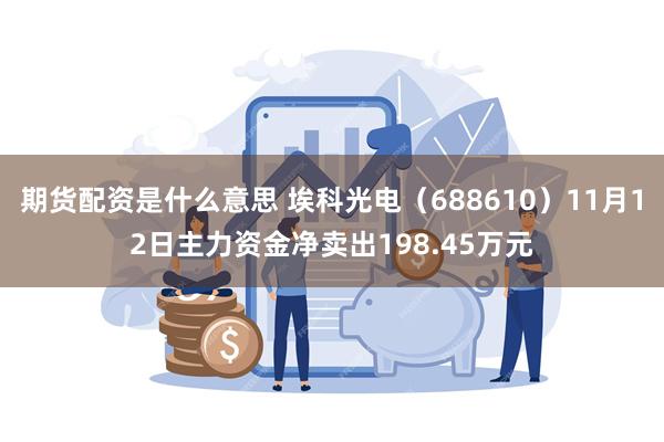 期货配资是什么意思 埃科光电（688610）11月12日主力资金净卖出198.45万元