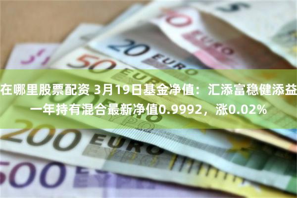 在哪里股票配资 3月19日基金净值：汇添富稳健添益一年持有混合最新净值0.9992，涨0.02%