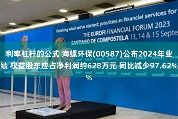 利率杠杆的公式 海螺环保(00587)公布2024年业绩 权益股东应占净利润约628万元 同比减少97.62%
