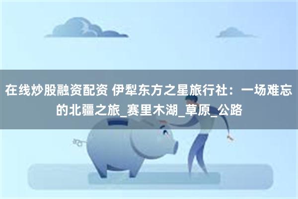 在线炒股融资配资 伊犁东方之星旅行社：一场难忘的北疆之旅_赛里木湖_草原_公路