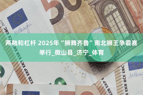 两融和杠杆 2025年“狮舞齐鲁”南北狮王争霸赛举行_微山县_济宁_体育