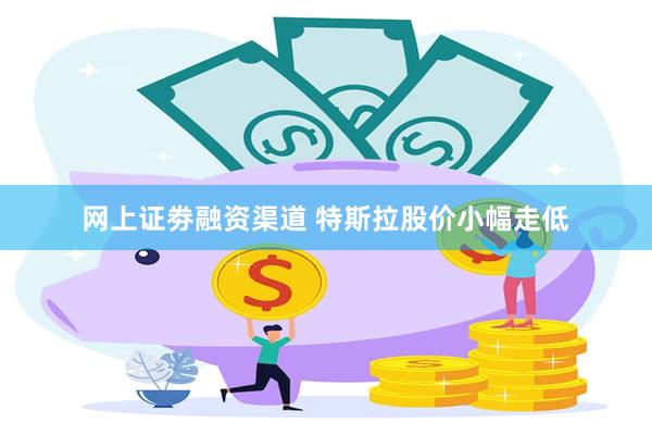 网上证劵融资渠道 特斯拉股价小幅走低