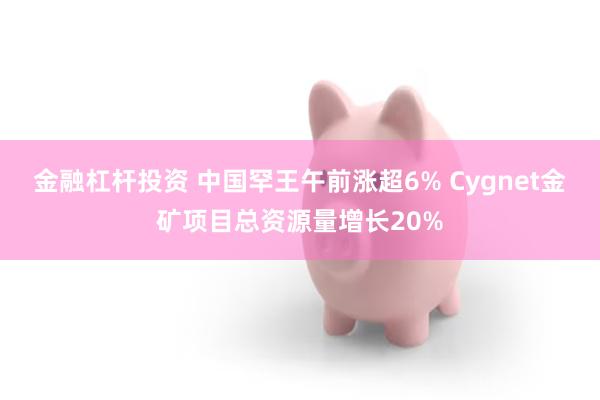 金融杠杆投资 中国罕王午前涨超6% Cygnet金矿项目总资源量增长20%