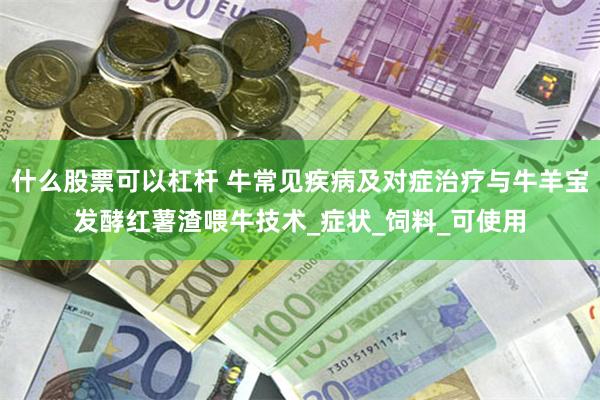 什么股票可以杠杆 牛常见疾病及对症治疗与牛羊宝发酵红薯渣喂牛技术_症状_饲料_可使用
