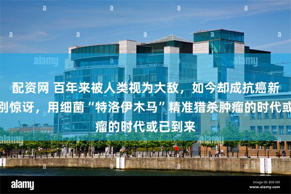 配资网 百年来被人类视为大敌，如今却成抗癌新希望？别惊讶，用细菌“特洛伊木马”精准猎杀肿瘤的时代或已到来