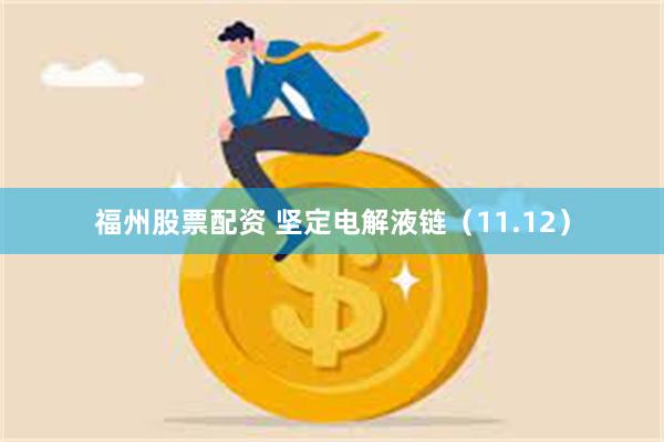 福州股票配资 坚定电解液链(11.12)